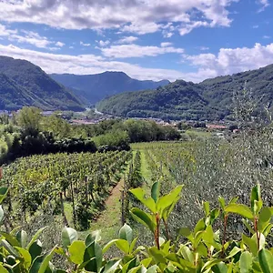  Country house Tenuta La Fratta Italy